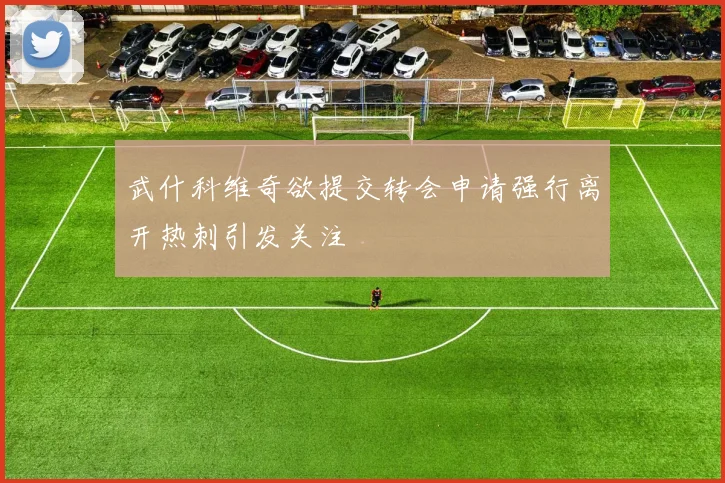 武什科维奇欲提交转会申请强行离开热刺引发关注